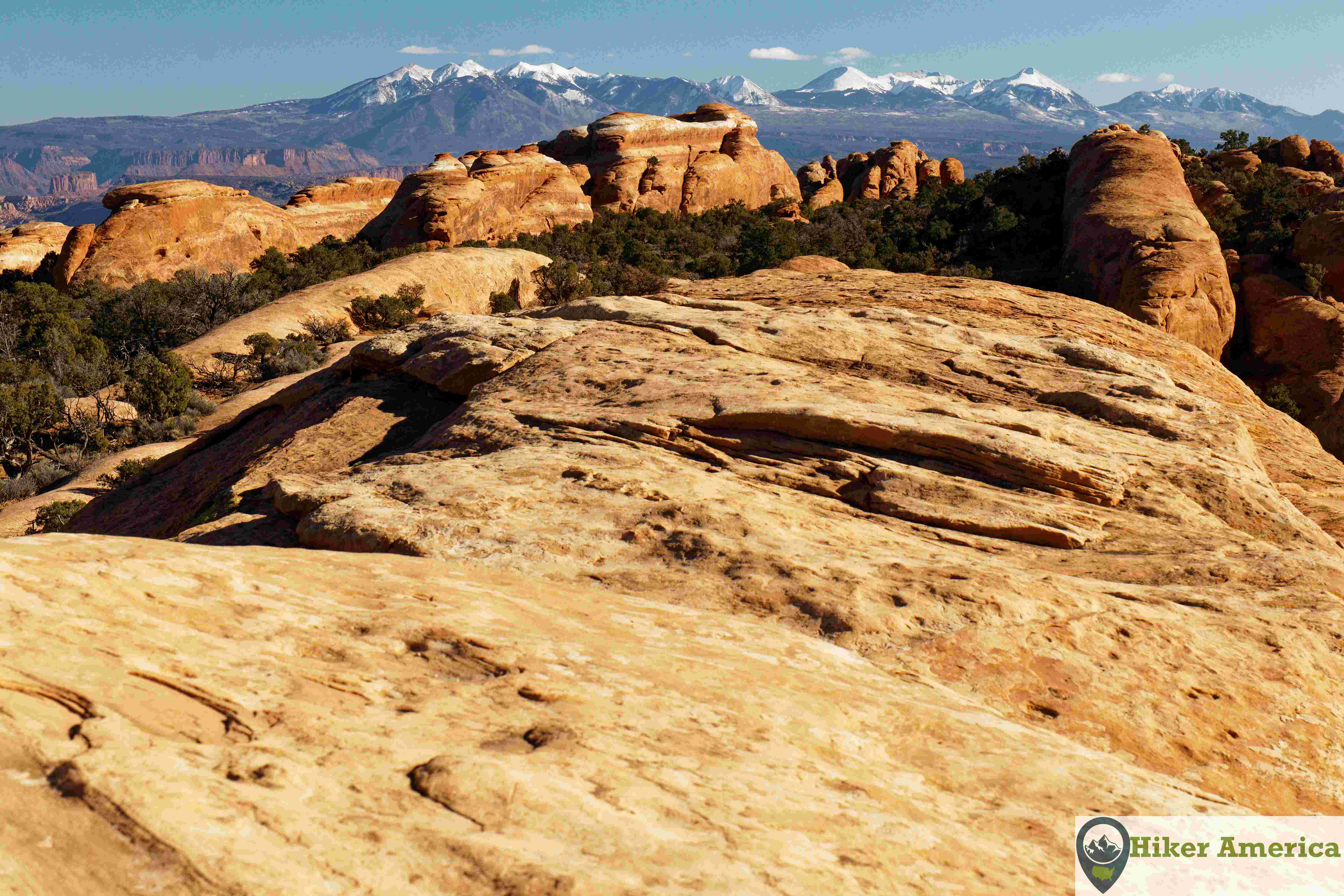 The La Sal Mountains with fins in the foreground.